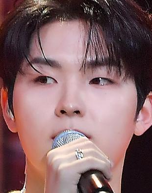 범진