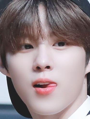 정우석