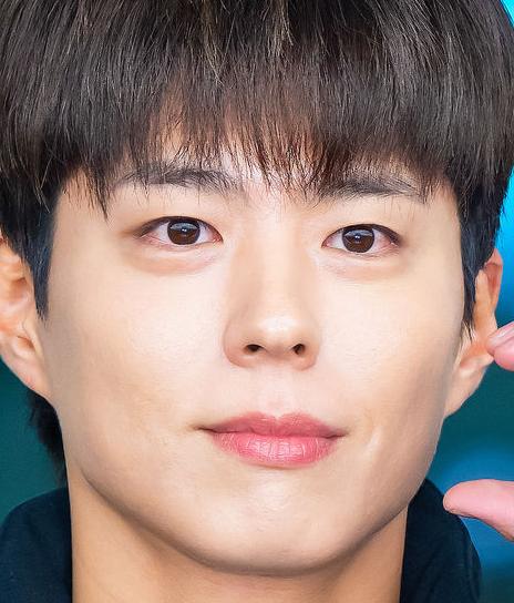 박보검