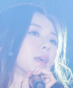 이다솜
