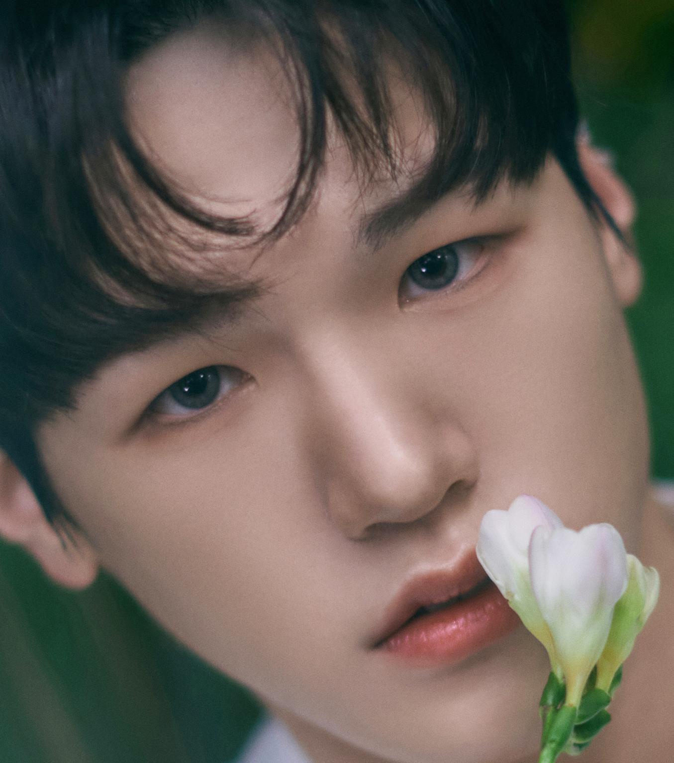 배인
