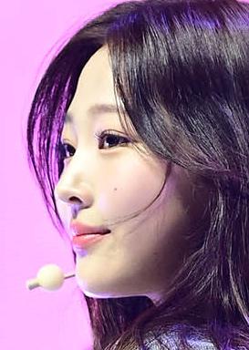 스텔라
